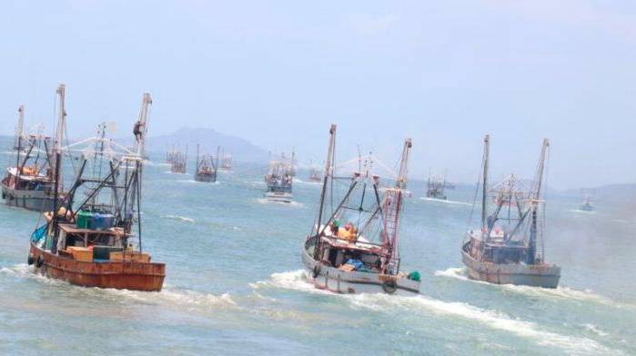 Panamá busca erradicar la pesca ilegal en sus aguas nacionales. Panamá busca erradicar la pesca ilegal en sus aguas nacionales.