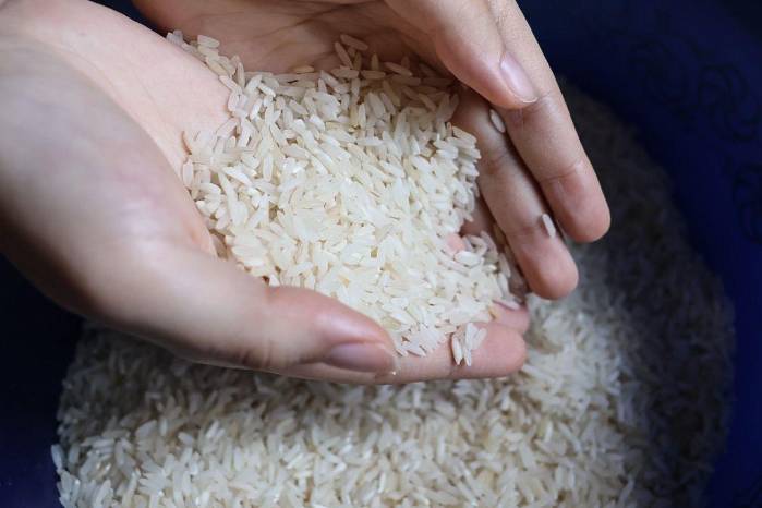 El arroz es uno de los principales alimentos de la mesa de los panameños. El arroz es uno de los principales alimentos de la mesa de los panameños.