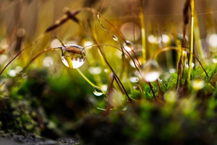 Gota de luz Gota de luz
