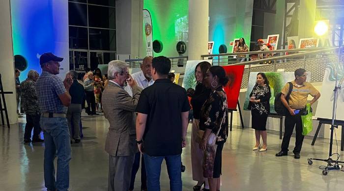 El Festival de Artes Visuales se extenderá hasta el próximo 15 de julio. El Festival de Artes Visuales se extenderá hasta el próximo 15 de julio.