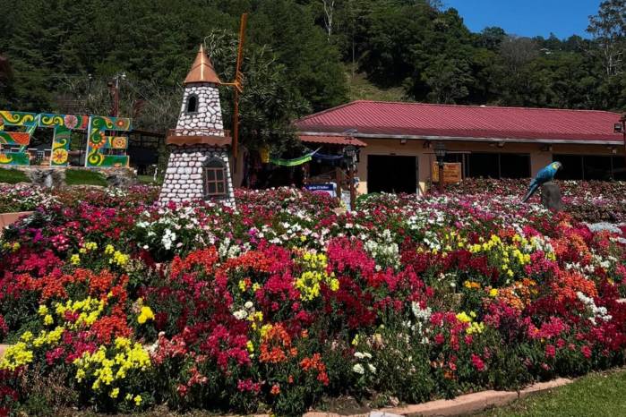 Feria Internacional de las Flores y del Café Feria Internacional de las Flores y del Café