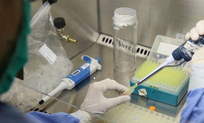 En Panamá se han detectado 42 casos del virus Oropouche en la provincia de Darién. En Panamá se han detectado 42 casos del virus Oropouche en la provincia de Darién.