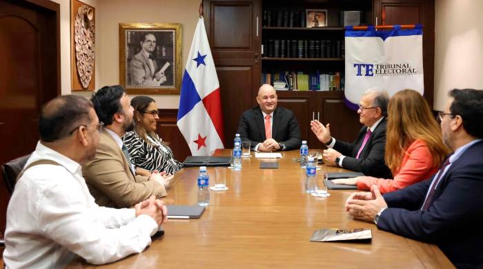 El Tribunal Electoral (TE) sirve de referencia para otros organismos electorales de la región. El Tribunal Electoral (TE) sirve de referencia para otros organismos electorales de la región.