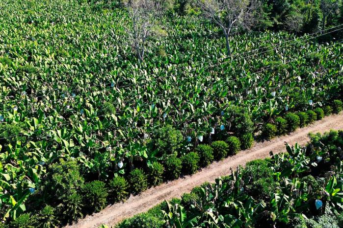 Las soluciones tecnológicas serán utilizadas por al menos 340 organizaciones rurales de cinco países de América Latina. Las soluciones tecnológicas serán utilizadas por al menos 340 organizaciones rurales de cinco países de América Latina.