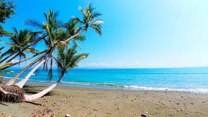 El sector turismo ve en la sostenibilidad una inversión para la sociedad, según Comité ONU El sector turismo ve en la sostenibilidad una inversión para la sociedad, según Comité ONU