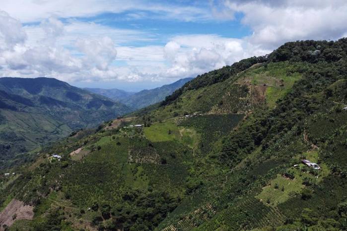 La bioeconomía te permite transformar los territoriosrurales en una fuente de ingresos, empleos y desarrollo. La bioeconomía te permite transformar los territoriosrurales en una fuente de ingresos, empleos y desarrollo.