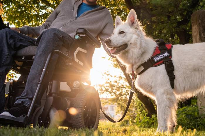Perros de servicio: Los perros de servicio desempeñan un papel vital en la vida de las personas con discapacidades, desde el autismo, discapacidad visual o la distrofia muscular. Estos cariñosos animales ayudan a sus dueños a realizar las tareas del día a día y algunos están especialmente entrenados para personas con diabetes, epilepsia o trastorno de estrés postraumático. Los perros de servicio desempeñan un papel práctico importante en la vida de sus parejas, pero también se convierten en amigos cariñosos. Perros de servicio: Los perros de servicio desempeñan un papel vital en la vida de las personas con discapacidades, desde el autismo, discapacidad visual o la distrofia muscular. Estos cariñosos animales ayudan a sus dueños a realizar las tareas del día a día y algunos están especialmente entrenados para personas con diabetes, epilepsia o trastorno de estrés postraumático. Los perros de servicio desempeñan un papel práctico importante en la vida de sus parejas, pero también se convierten en amigos cariñosos.