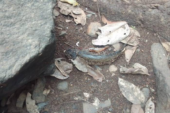 Imágenes del incidente en el río Santa María. Imágenes del incidente en el río Santa María.