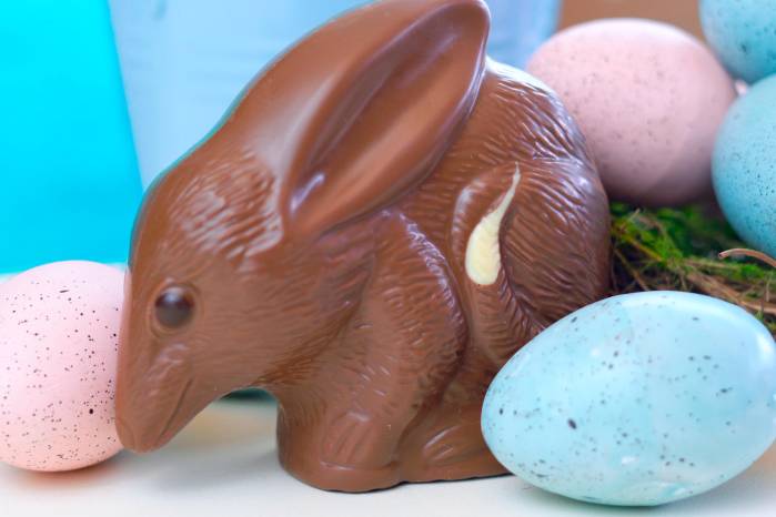 En Australia, en lugar del conejo, muchos prefieren al “Easter Bilby”, un marsupial nativo en peligro de extinción. En Australia, en lugar del conejo, muchos prefieren al “Easter Bilby”, un marsupial nativo en peligro de extinción.