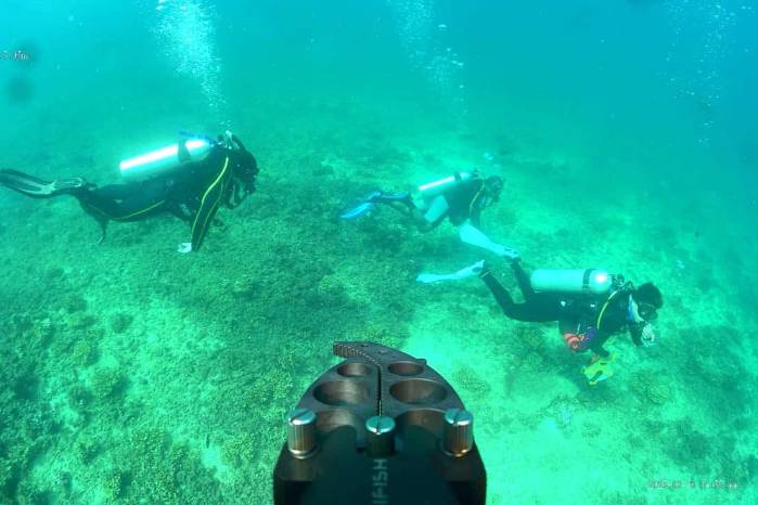 Buceo de monitoreo en el PN Coiba. Buceo de monitoreo en el PN Coiba.