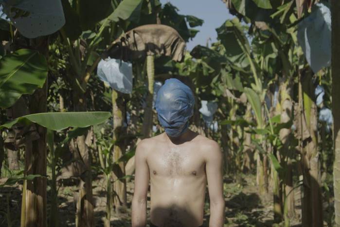 Apuntes sobre el extractivismo bananero en Barú - Fotograma de ‘videoperformance’. Apuntes sobre el extractivismo bananero en Barú - Fotograma de ‘videoperformance’.