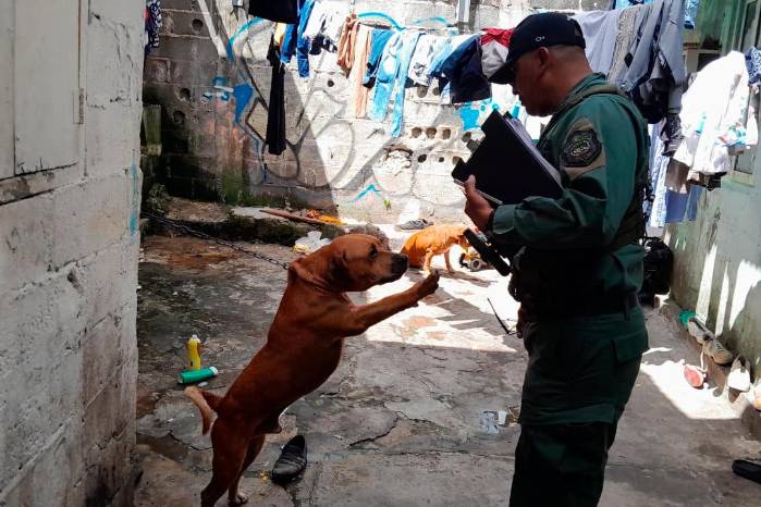 Un perro es rescatado por la Policía Nacional. Un perro es rescatado por la Policía Nacional.