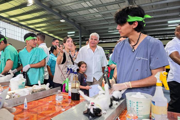 Más de mil perros y gatos fueron atendidos en Ciudad Radial, Juan Díaz, como parte del programa Misión Patitas. Más de mil perros y gatos fueron atendidos en Ciudad Radial, Juan Díaz, como parte del programa Misión Patitas.