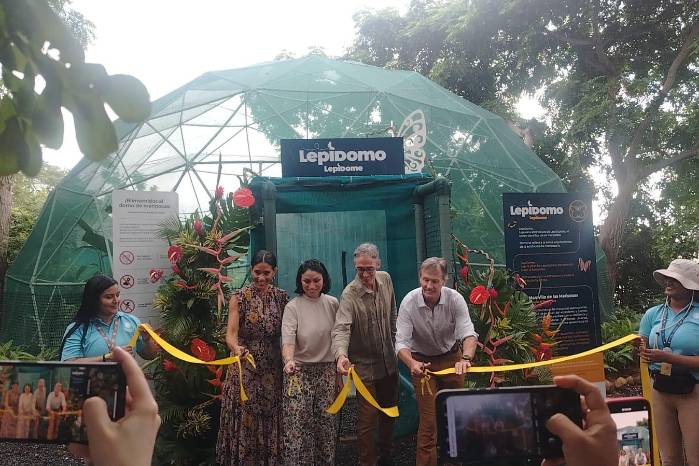 En el ‘LepiDomo’ se encuentran entre 25 a 30 especies de mariposas En el ‘LepiDomo’ se encuentran entre 25 a 30 especies de mariposas