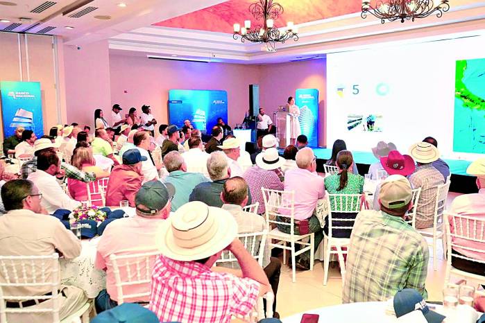 La jornada del encuentro con productores incluyó conferencias orientadas a la transformación digital del agro. La jornada del encuentro con productores incluyó conferencias orientadas a la transformación digital del agro.