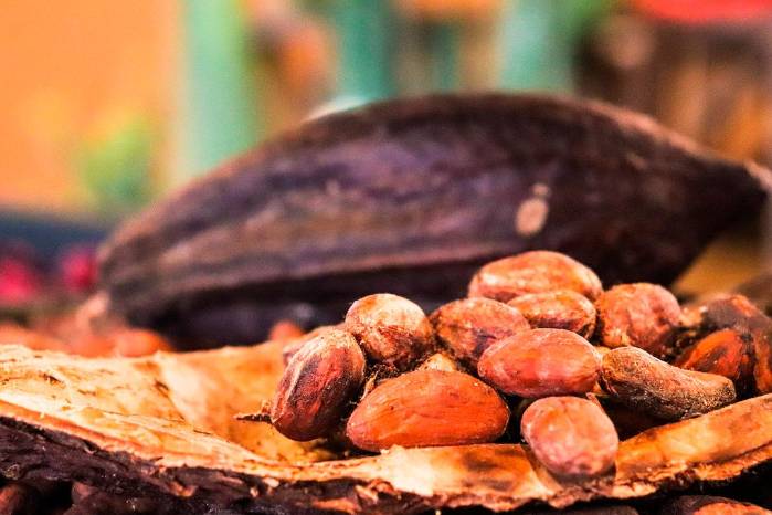 Panamá envía la subpartida 180631 de chocolate y demás preparaciones alimenticias que contengan cacao, en bloques, tabletas o barras a seis destinos, entre ellos, EE.UU. y Alemania. Panamá envía la subpartida 180631 de chocolate y demás preparaciones alimenticias que contengan cacao, en bloques, tabletas o barras a seis destinos, entre ellos, EE.UU. y Alemania.