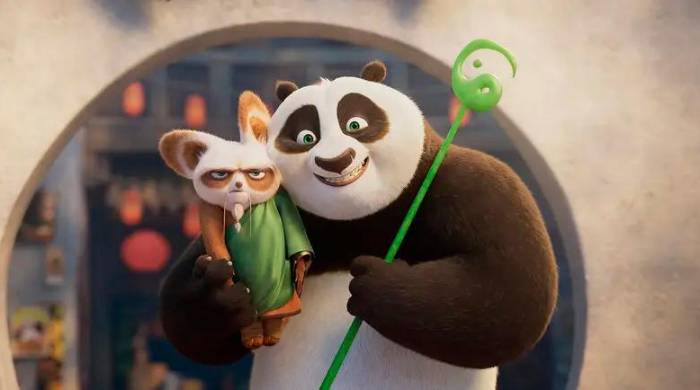 Las relaciones entre los personajes de películas anteriores, como el maestro Shifu, se mantienen en niveles superficiales.