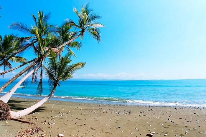 El sector turismo ve en la sostenibilidad una inversión para la sociedad, según Comité ONU El sector turismo ve en la sostenibilidad una inversión para la sociedad, según Comité ONU