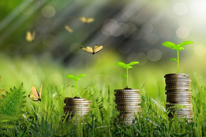 Los bonos sostenibles son cualquier tipo de bono, cuyos fondos se destinan exclusivamente a financiar o refinanciar, en parte o en su totalidad, proyectos verdes elegibles, ya sean nuevos o existentes. Los bonos sostenibles son cualquier tipo de bono, cuyos fondos se destinan exclusivamente a financiar o refinanciar, en parte o en su totalidad, proyectos verdes elegibles, ya sean nuevos o existentes.