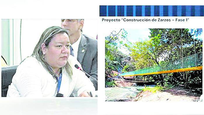 Karen Caballero, subdirectora de estudios y diseños del MOP, presenta los zarzos en la Asamblea Nacional.