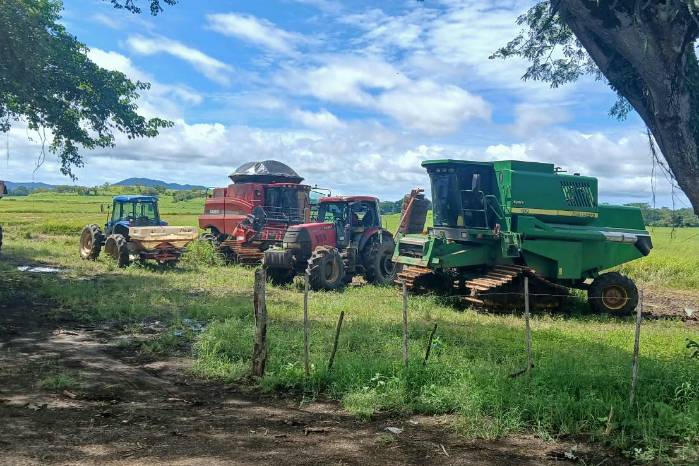 Cosechadoras mecánicas preparadas en el campo para iniciar la recolección de arroz, garantizando la continuidad de la cosecha tras el terremoto.