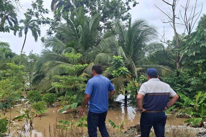 Terrenos anegados en Changuinola tras el desbordamiento de cauces durante el reciente temporal.