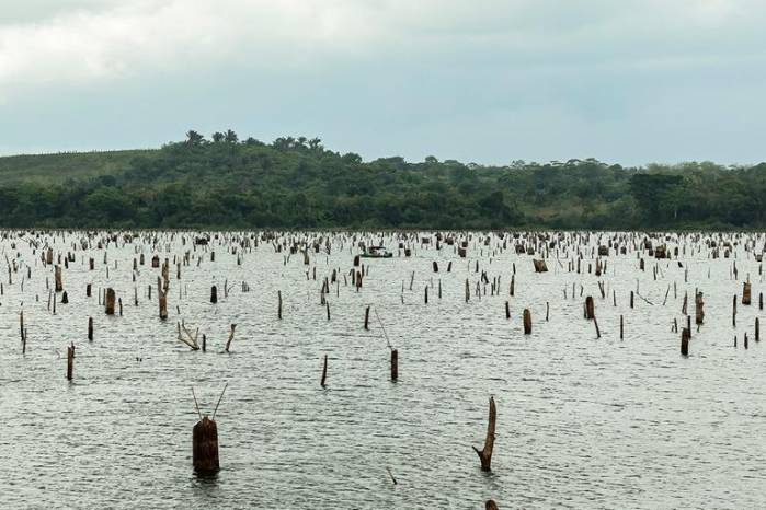 Aunque la cuenca del Canal de Panamá no está pasando por una crisis de desabastecimiento, el crecimiento en demanda de agua por el aumento en la cantidad de población en el futuro podría ser un problema.
