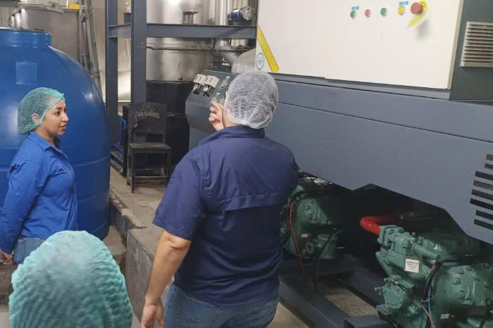 Inspección del Minsa a plantas en Los Santos.