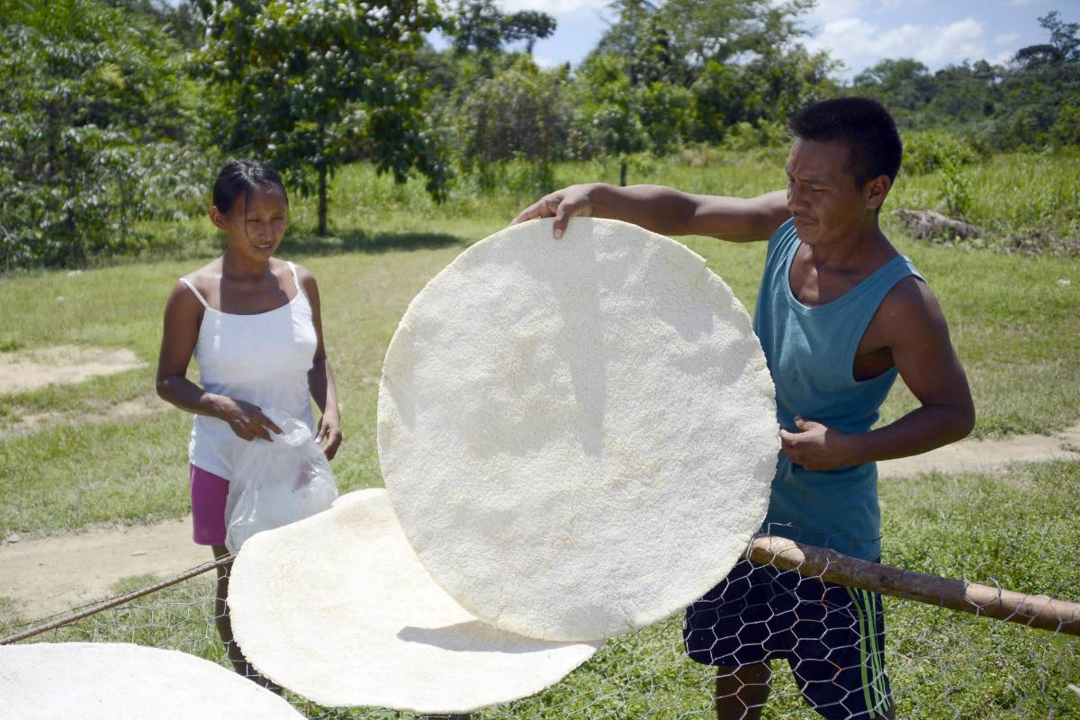 Casabe, un ancestral pan de yuca declarado patrimonio de la humanidad