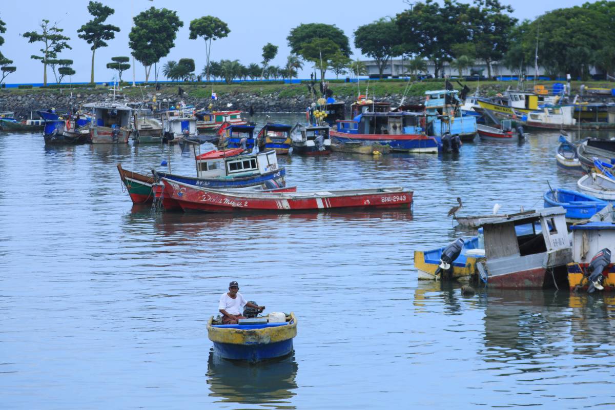 Panam&aacute; desarrolla plan nacional contra la pesca ilegal
