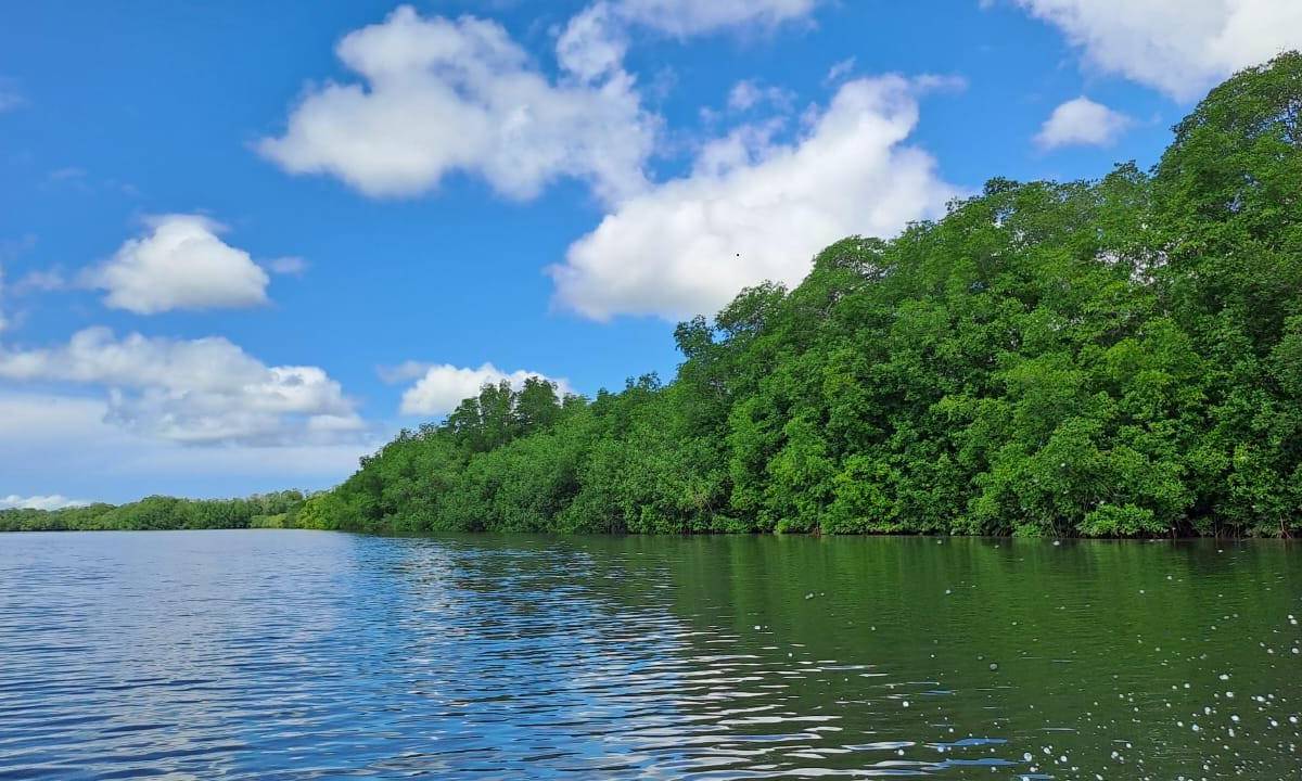 Puerto Bar&uacute; fragmenta a comunidades y ambientalistas 