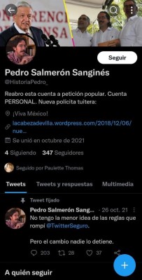 Captura de pantalla de cuenta cerrada del mexicano Pedro Salmerón, designado como embajador de Mexico en Panamá.
