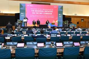 Presentación de la FAO de los Planes de inversión de la Iniciativa Regional.