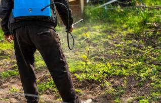 Centroamérica es la región del mundo que más utiliza pesticidas por hectárea de cultivo o por persona.