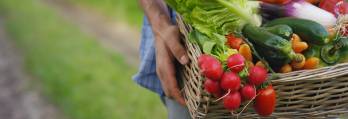 La comida es el sustento de la vida