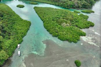Fotografía de toma cedida por el Ministerio de Ambiente de Panamá que muestra un humedal en Panamá.