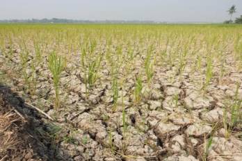 La asociación plantea reforzar la gestión del agua, los sistemas de riego y el apoyo a productores antes de la llegada de la estación seca.