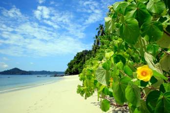 Aventuras de playa y sol