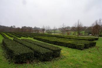 Una plantación de té ecológico en la localidad coruñesa de Paderne.