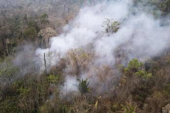 Fotografía aérea que muestra un área con incendios en el Parque Estatal Guajará Mirim el 11 de septiembre de 2024, en la ciudad de Nova Mamoré (Brasil). EFE/ Isaac Fontana