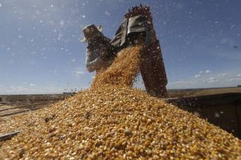 La sequía extrema en Brasil pone en peligro las cosechas y encarece los alimentos.