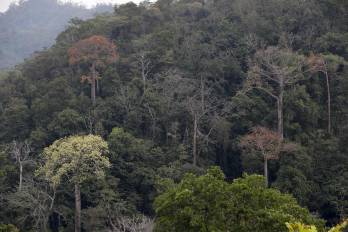 En el informe se analizan 18 proyectos en todo el planeta, entre ellos en Colombia, Guatemala, Brasil, Panamá y Perú.