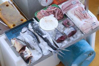 Con la flota del palangre se captura dorado y atún, pero ni la mitad de la flota usa monitoreo satelital.