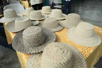 Este festival es organizado por el conjunto de proyecciones folclóricas Penonomé Aires y Ritmos