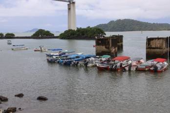 Panamá refuerza la lucha contra la contaminación marina con nuevo proyecto de descarte de redes fantasma.