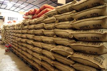 Fotografía que muestra sacos con café almacenado en una bodega este martes en la ciudad de Tapachula, en Chiapas (México). EFE/ Juan Manuel Blanco