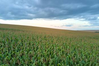 El agro suma tecnología para monitorear cultivos y fincas.