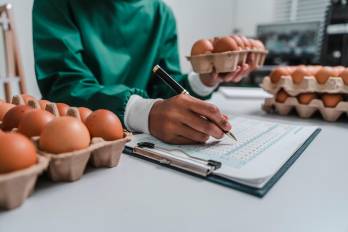 En la Anavip 11 empresas miembros son productoras de huevos con altos estándares de calidad e inocuidad.