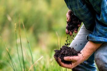 La agricultura regenerativa es una de las áreas priorizadas por el Fondo VELA de la CAF, que busca movilizar hasta USD 150 millones hacia proyectos sustentables en la región.