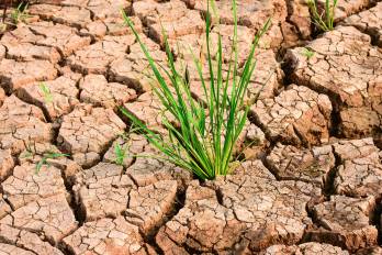 La OMM advierte sobre un mayor riesgo de sequías, inundaciones, calor extremo e incendios forestales durante los próximos meses.